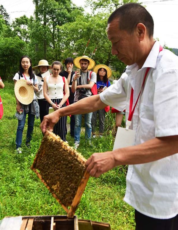 资溪举办乡村设计挑战赛寻求乡村振兴新模式