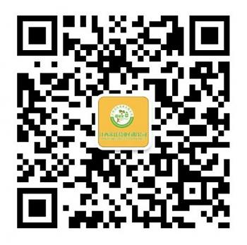 夜宵场:醉醒皆在一“葛”间 夜宵场:醉醒皆在一“葛”间